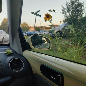 Meet your Posher, Charlotte